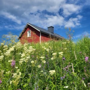 Susannan Tupa - lisähenkilö