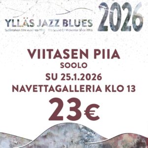 Viitasen Piia - soolo / Navettagalleria / Su 25.1.2026 klo 13